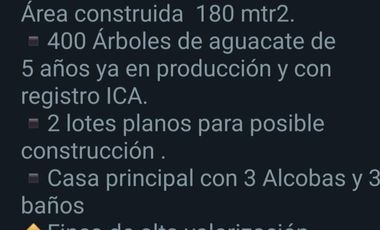 Casa finca en Guarne con cultivo de aguacate