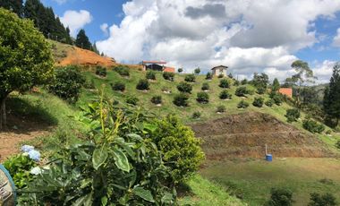 Casa finca en Guarne con cultivo de aguacate
