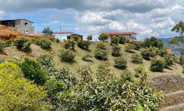 Casa finca en Guarne con cultivo de aguacate