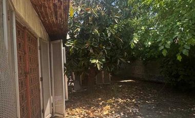 2 casas con uso comercial - 2 meses GRATIS