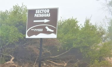 ¡ VEN A CONOCERLA Y HAZ TU OFERTA !