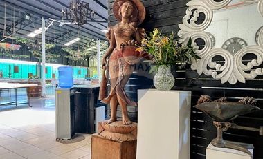 ATENCION INVERSIONISTAS CENTRO DE EVENTOS PAINE