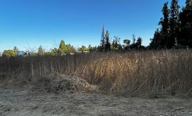 Terreno Logístico en Arriendo