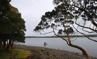 VENTA DE PARCELAS EN ISLA CAILLIN QUELLÓN