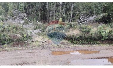 VENTA DE PARCELAS EN ISLA CAILLIN QUELLÓN