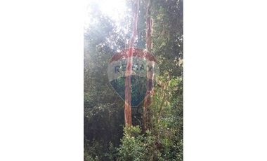 VENTA DE PARCELAS EN ISLA CAILLIN QUELLÓN