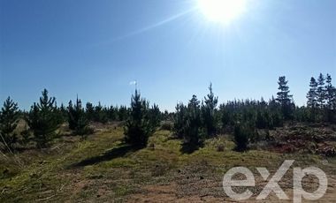 Parcela en Venta en Fundo Pailimo
