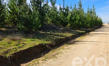 Parcela en Venta en Fundo Pailimo