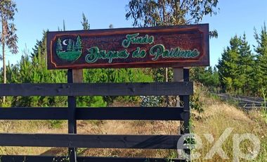 Parcela en Venta en Fundo Pailimo