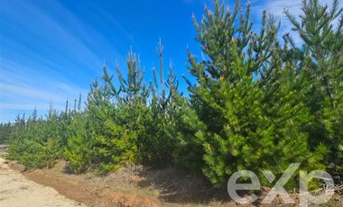 Parcela en Venta en Fundo Pailimo