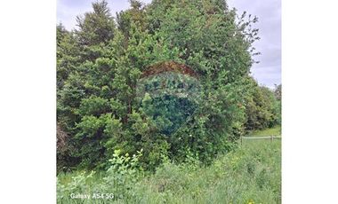 VENTA DE PARCELA CON 3 CASAS La Vara