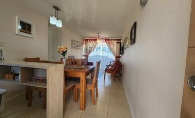 Playa, confort y rentabilidad en un solo lugar