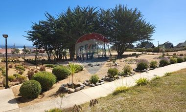 Playa, confort y rentabilidad en un solo lugar