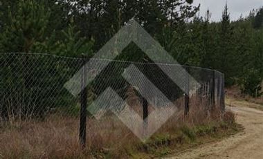 Parcela en Venta en Alto Colorado/ Hijuelas 2