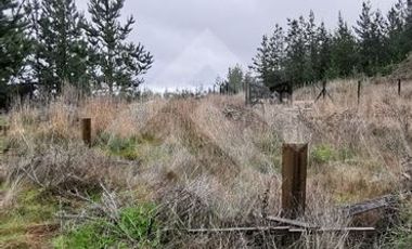 Parcela en Venta en Alto Colorado/ Hijuelas 2