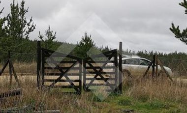 Parcela en Venta en Alto Colorado/ Hijuelas 2