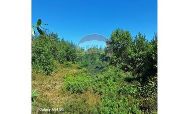 VENTA DE PARCELA EN COLONA 3 PUENTES PUERTO VARAS