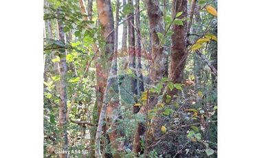 VENTA DE PARCELA EN COLONA 3 PUENTES PUERTO VARAS