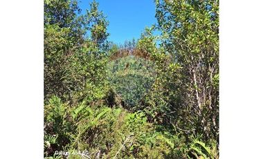 VENTA DE PARCELA EN COLONA 3 PUENTES PUERTO VARAS