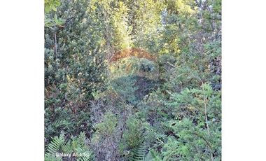 VENTA DE PARCELA EN COLONA 3 PUENTES PUERTO VARAS