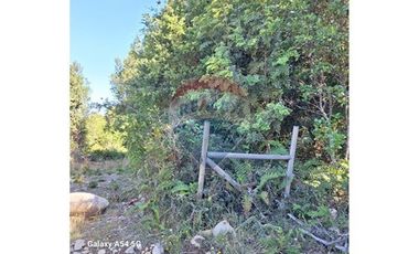 VENTA DE PARCELA EN COLONA 3 PUENTES PUERTO VARAS