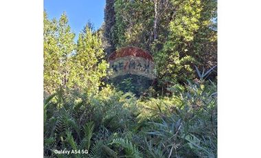 VENTA DE PARCELA EN COLONA 3 PUENTES PUERTO VARAS