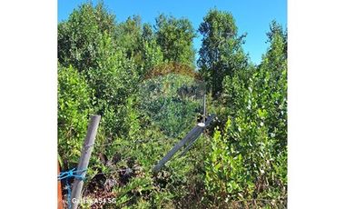 VENTA DE PARCELA EN COLONA 3 PUENTES PUERTO VARAS