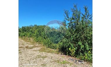 VENTA DE PARCELA EN COLONA 3 PUENTES PUERTO VARAS