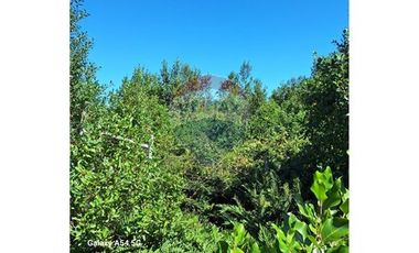 VENTA DE PARCELA EN COLONA 3 PUENTES PUERTO VARAS