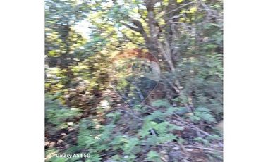 VENTA DE PARCELA EN COLONA 3 PUENTES PUERTO VARAS