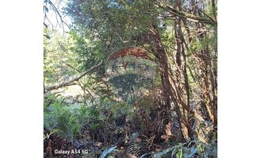 VENTA DE PARCELA EN COLONA 3 PUENTES PUERTO VARAS