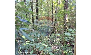 VENTA DE PARCELA EN COLONA 3 PUENTES PUERTO VARAS