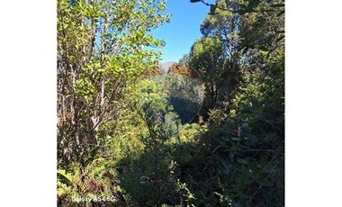 VENTA DE PARCELA EN COLONA 3 PUENTES PUERTO VARAS