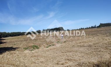 Sitio en Venta en Sector Coyanco