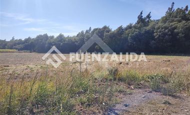 Sitio en Venta en Sector Coyanco