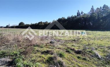 Sitio en Venta en Sector Coyanco