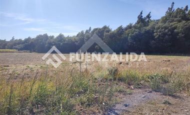Sitio en Venta en Sector Coyanco