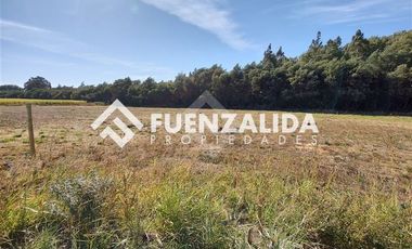 Sitio en Venta en Sector Coyanco