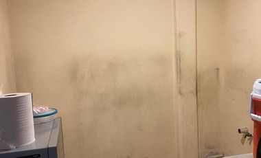 Bodega en renta, colonia Independencia (Melva)