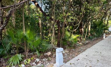 Terreno Venta Playacar