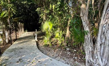 Terreno Venta Playacar