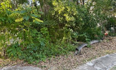 Terreno Venta Playacar