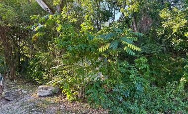 Terreno Venta Playacar