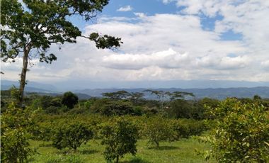 Finca en venta en Moniquirá, Boyacá