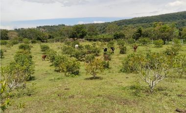 Finca en venta en Moniquirá, Boyacá
