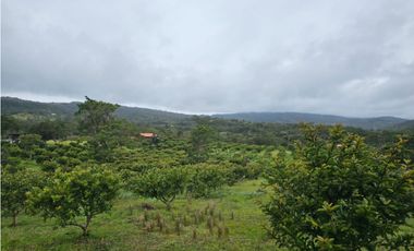 Finca en venta en Moniquirá, Boyacá