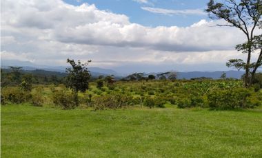 Finca en venta en Moniquirá, Boyacá