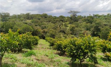 Finca en venta en Moniquirá, Boyacá