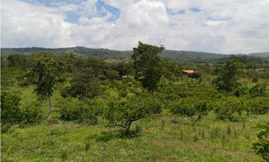 Finca en venta en Moniquirá, Boyacá