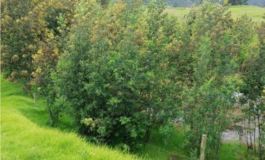 Finca en Venta Sesquilé Cundinamarca